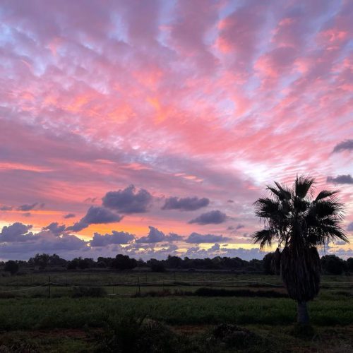 Entdecke den Zauber in Dir